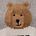 color Brannan Bear