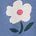 color Daisy