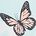 color Butterfly