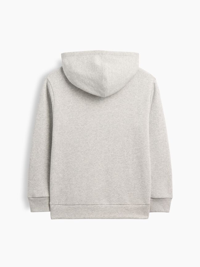 Kids Graphic Hoodie gap kids graphic hoodie